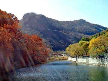 新澳天天开奖资料大全旅游团，淄博快运